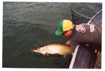 70efd26e-afda-4746-b819-bdb927c9ce64