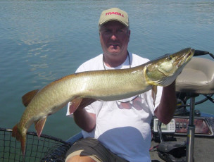 713316DA-14F7-42F5-9BF6-9EE00ADC116B