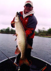 714595be-8e7e-4bde-b3ac-72bbf7d76a62