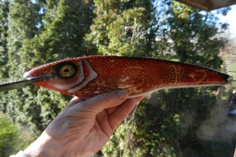 714C0C8D-1BF0-4673-AA0E-4249460A9684