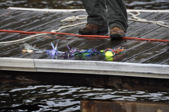 716B2318-9481-43AA-AC95-D6AAB3D9B107