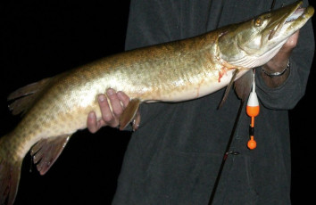 71C6EF35-027C-4908-9F36-70C577F33721