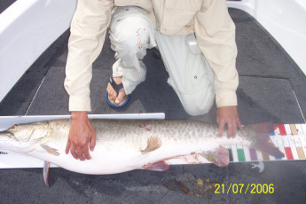 71df535c-6fde-4ebd-8609-dea552b15cb9