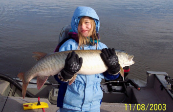 7282ece0-eddd-441d-8faf-9d7a819bb951