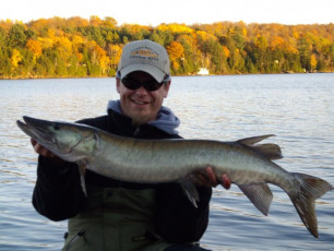 72AFF62D-5463-4A19-B8B7-7DFD93CA982D