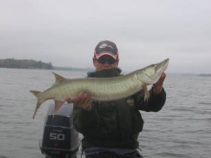 72BB8B8A-66C1-4FCA-8058-349031C107C0