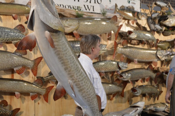 72CBE97E-0308-4700-B508-68CCF4DE95D9