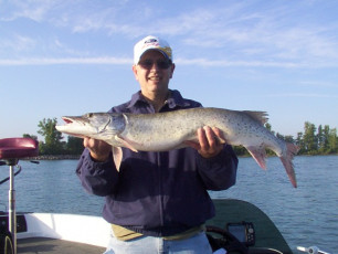 72aaafc6-6553-4f88-8153-8a44cd689e31