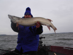 72c613a3-8693-48b1-93b6-4537876e1ccf