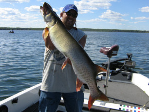 72d9449d-9875-43bf-af25-f0cf9025cc3e