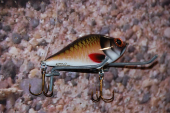 73A0C97A-9A54-43C5-98A0-E253893E4794