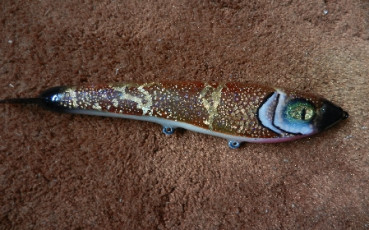 73B8185E-E4C5-4689-9936-559E7DC70BE7