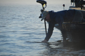 740D027F-6CED-4AE0-8468-30509E0F92C6