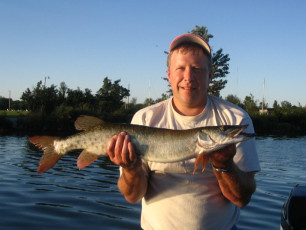 742b0251-dfbd-4025-8275-f334307495a6