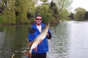 7456960a-c98a-4d0c-9455-186a48590c53