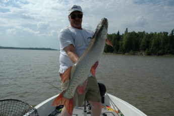 74950917-1229-49ee-97a7-d797bccb7c02