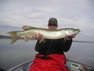 75195D72-2CBF-4873-B0C4-69C35709E949