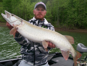 75710FEA-E339-452B-BF2D-76CA5980D992