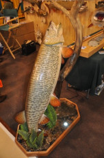 75788EAE-295C-4AFF-963A-145BF1DDE4DC