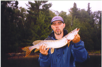 75f980fa-ae6a-45a1-ad4f-b71e2ecab9f7