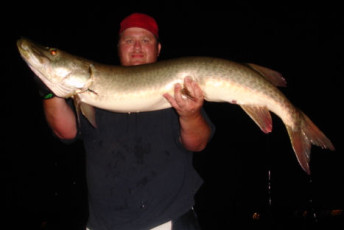 76579c85-fa02-4ce8-863e-04bc969d376e