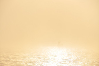 766C89CD-2B54-4D61-BE74-DD386C41DFCB