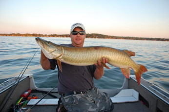 76B55BAA-4D4B-4218-92B3-4165F710ADCB