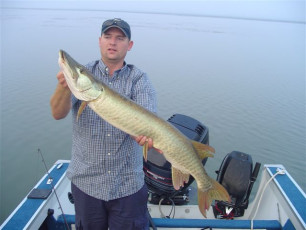 770B12CE-9DA1-4D32-84F9-EA036159B6D7