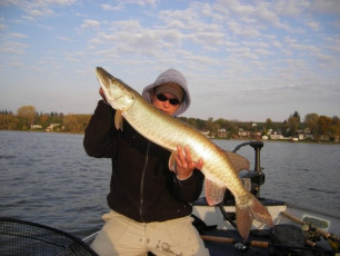 7772A355-931F-4020-ADE2-6D78BD14C077