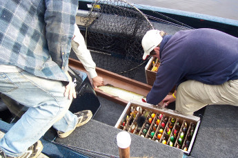 780827e7-6ad2-4142-9b84-42cae6e9eebe