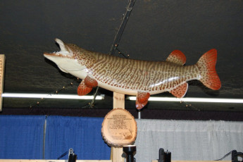 781ac08c-4b48-4de2-93bc-27eedfd84102