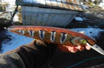 78231435-BE79-4E4E-9C1E-91AF63F00182