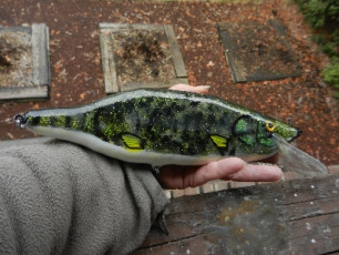 78FD0277-4F35-4280-979C-04C785591B10