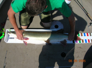 790aea26-8135-4eb8-8d67-bbeca350414d