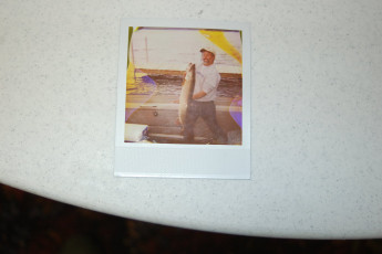 791dd13a-ec51-4767-b501-7e0da645fdb0