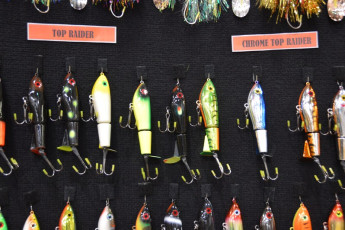 796197BB-745B-4910-8201-A0B5E07675D9