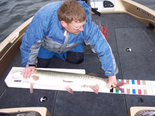 79e54a2d-21cf-46ba-9759-a74b1a0fc46c