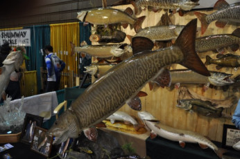 7A411A69-773C-4C74-87CB-2B415774F210