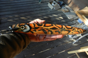 7AAE8BBC-EBD4-46CA-87EE-BD387739580B