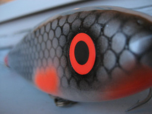 7AF3487D-314E-43DB-A075-39E3630A4132