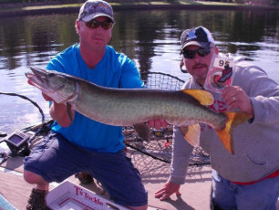 7B1EB6C6-DB89-4694-9E79-71503ED7234B