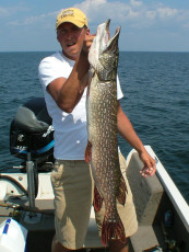 7C7E2C55-4433-4675-84AC-2D0868E33D3F