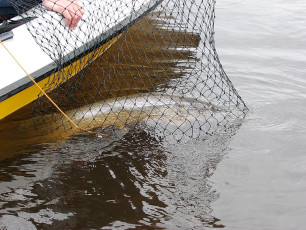 7EA7D1E2-ADBB-40E6-937C-24C76EB7084E