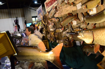 7FD67DB0-0AE2-42A4-AC64-46EA7D9E605A