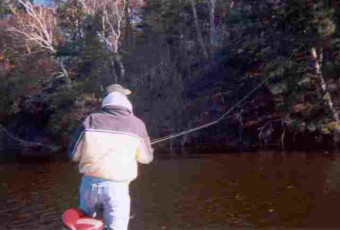 7b7e6e11-3725-4310-ba31-c561900e5663