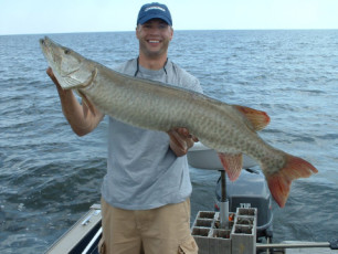 7bf21783-d79b-4ccb-8b09-e3152570080f