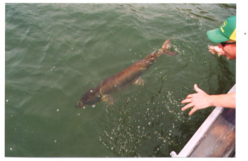 7cc0dc8e-a5bc-4ee5-a552-058818082c6e