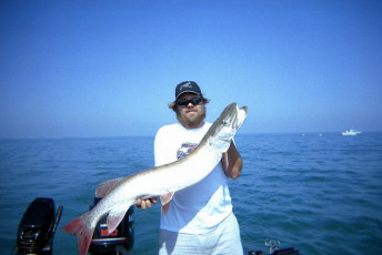 7ce016f4-16cc-4dca-8483-c4ab1dd9f6ec