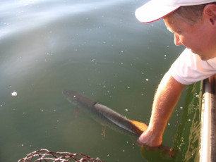 7d142fd0-a5c5-4596-9496-4241de4bb22f