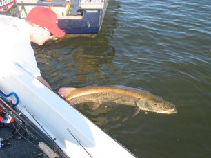 7d2f7193-b003-4b53-959f-1e589833a97c